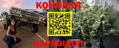 спиды Дмитров