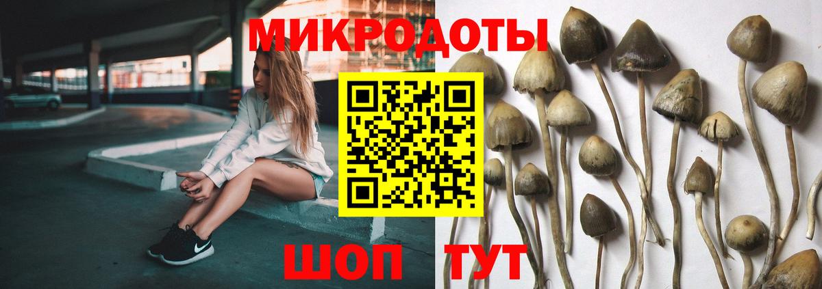 Галлюциногенные грибы Ревда