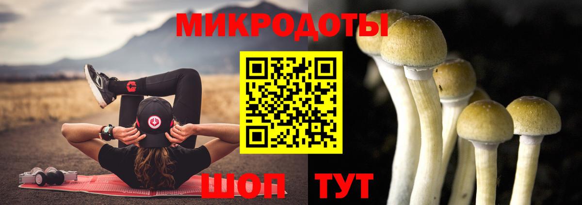 Псилоцибиновые грибы GOLDEN TEACHER  Вход с VPN  Ревда  Галлюциногенные грибы Psilocybe 